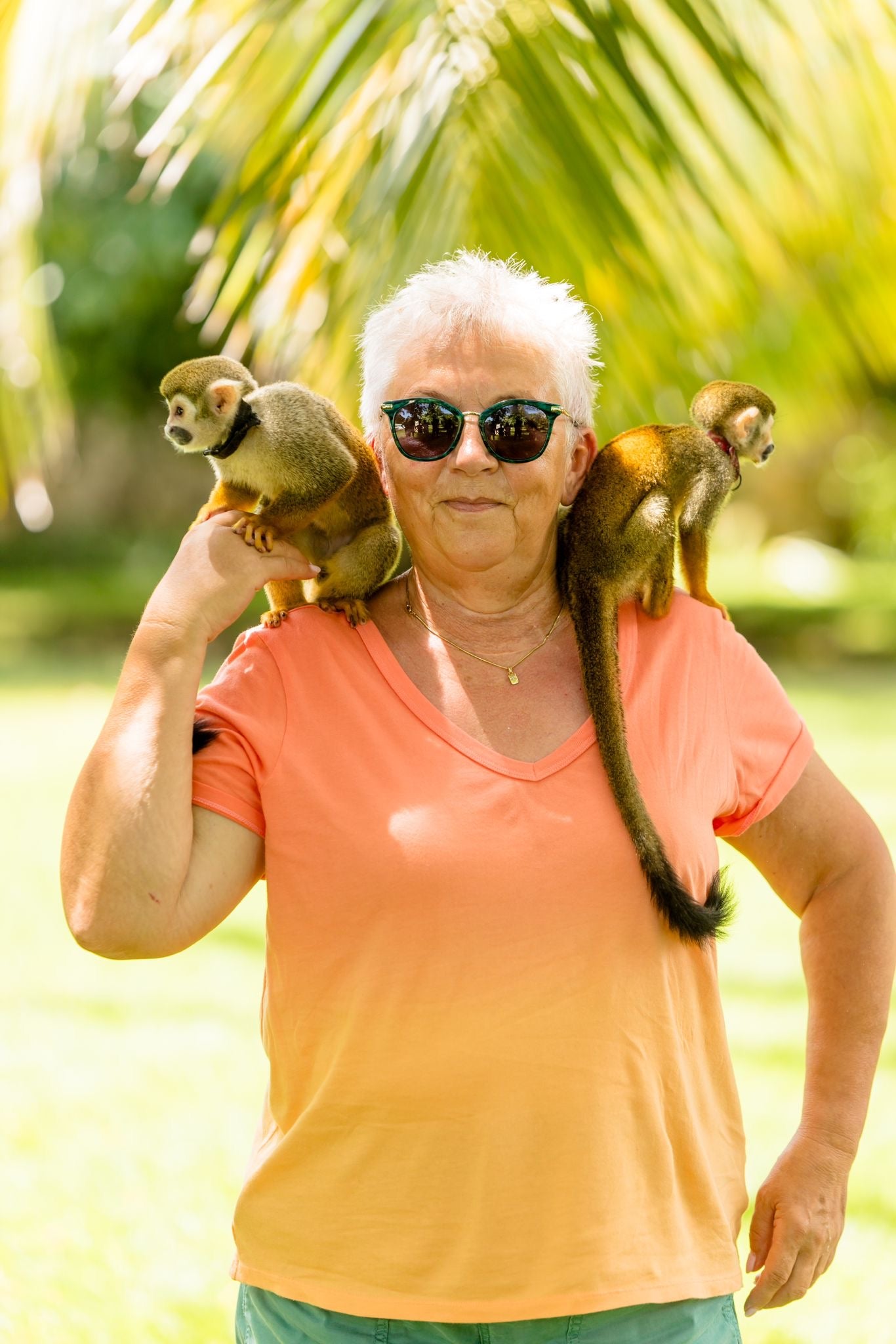 Monkey House