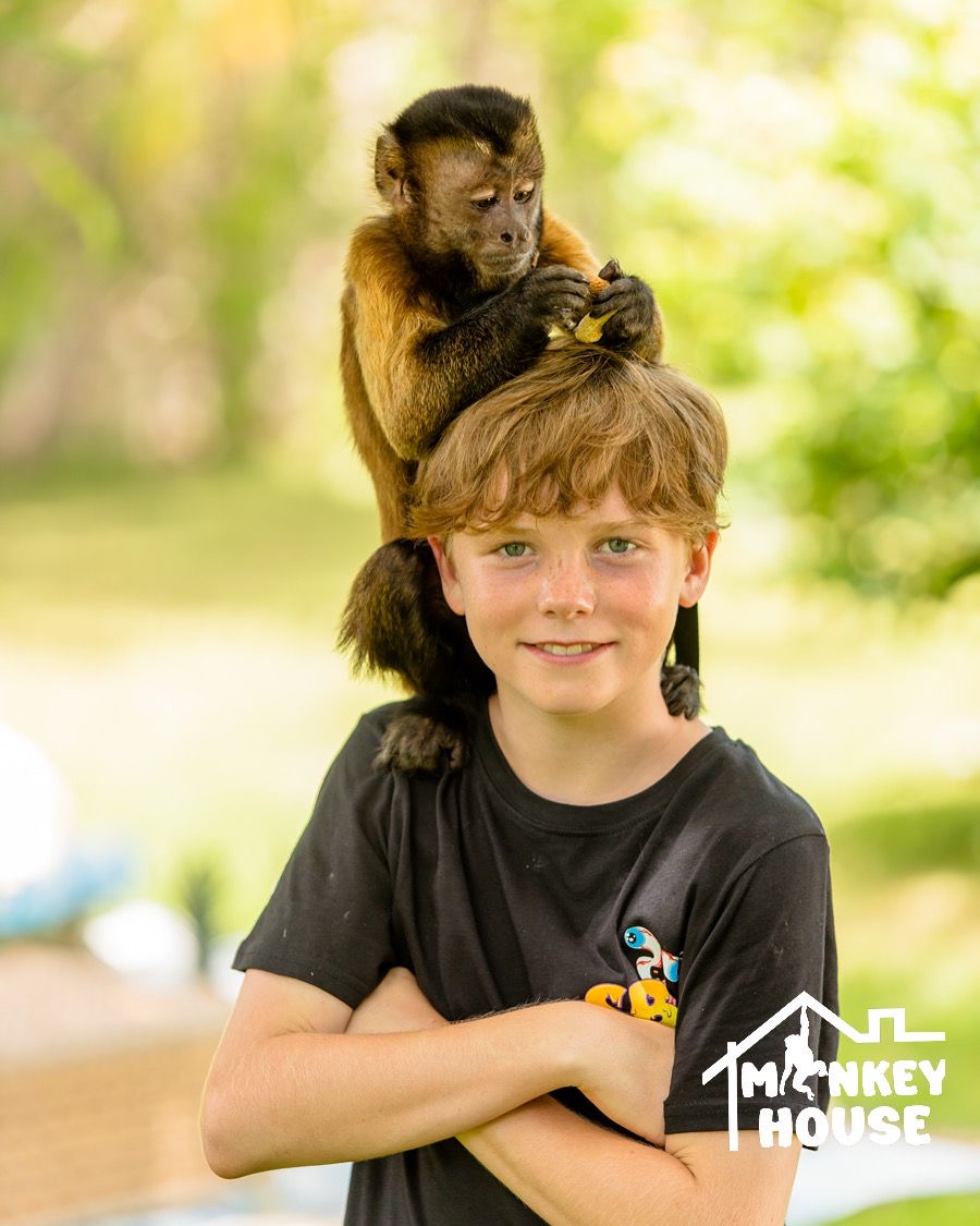 Monkey House