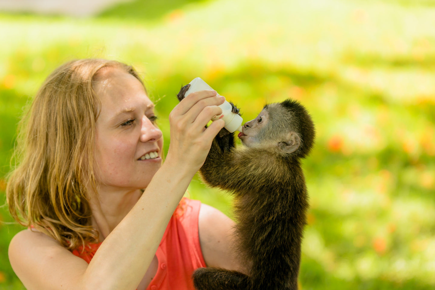 Monkey House