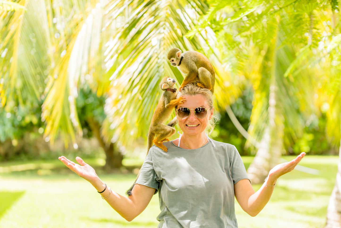 Monkey House