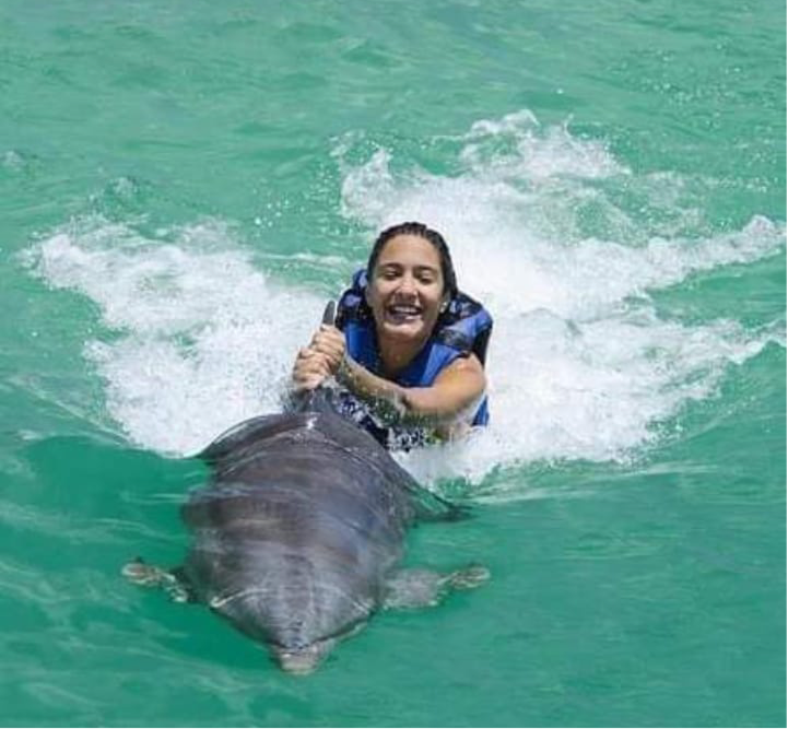 DOLPHINS