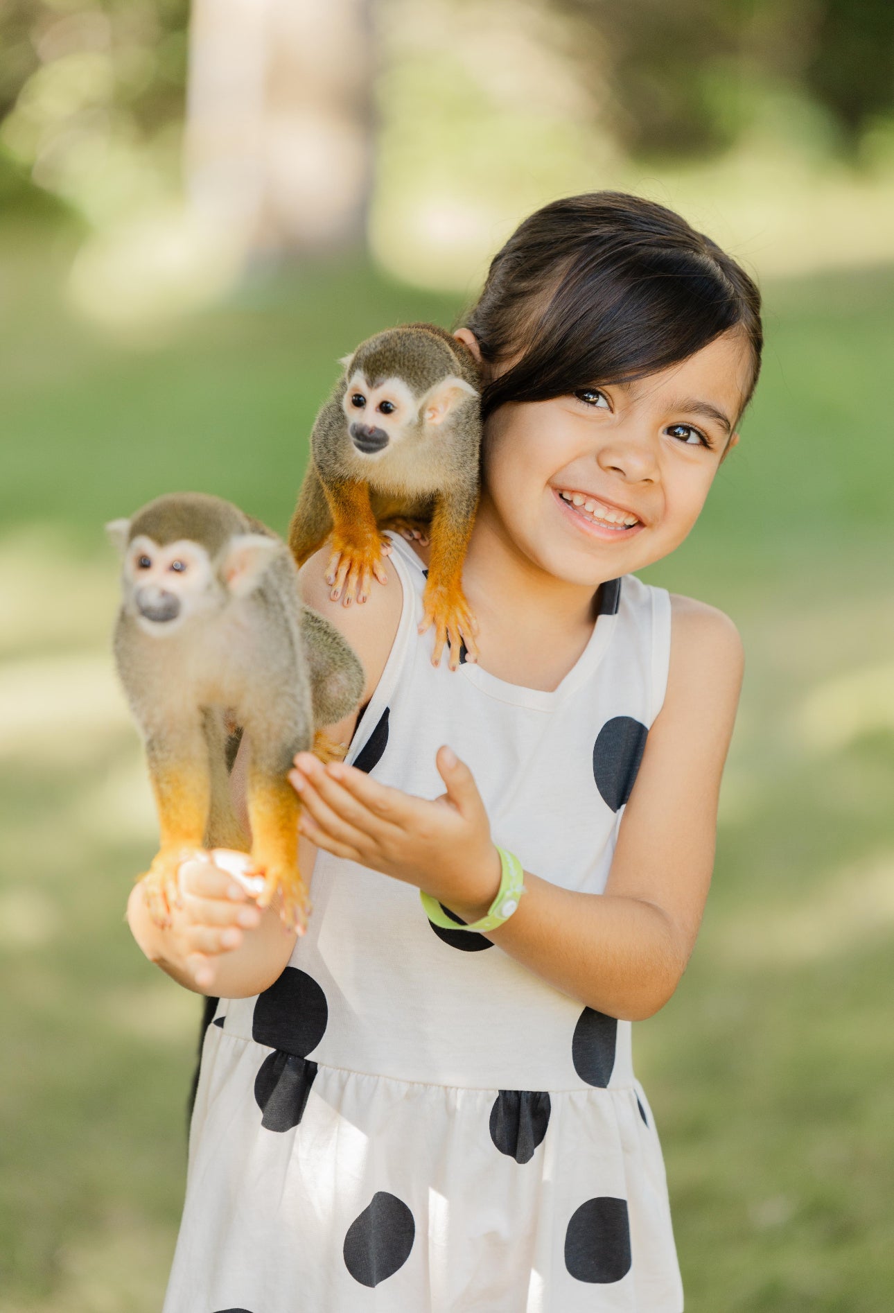 Monkey House