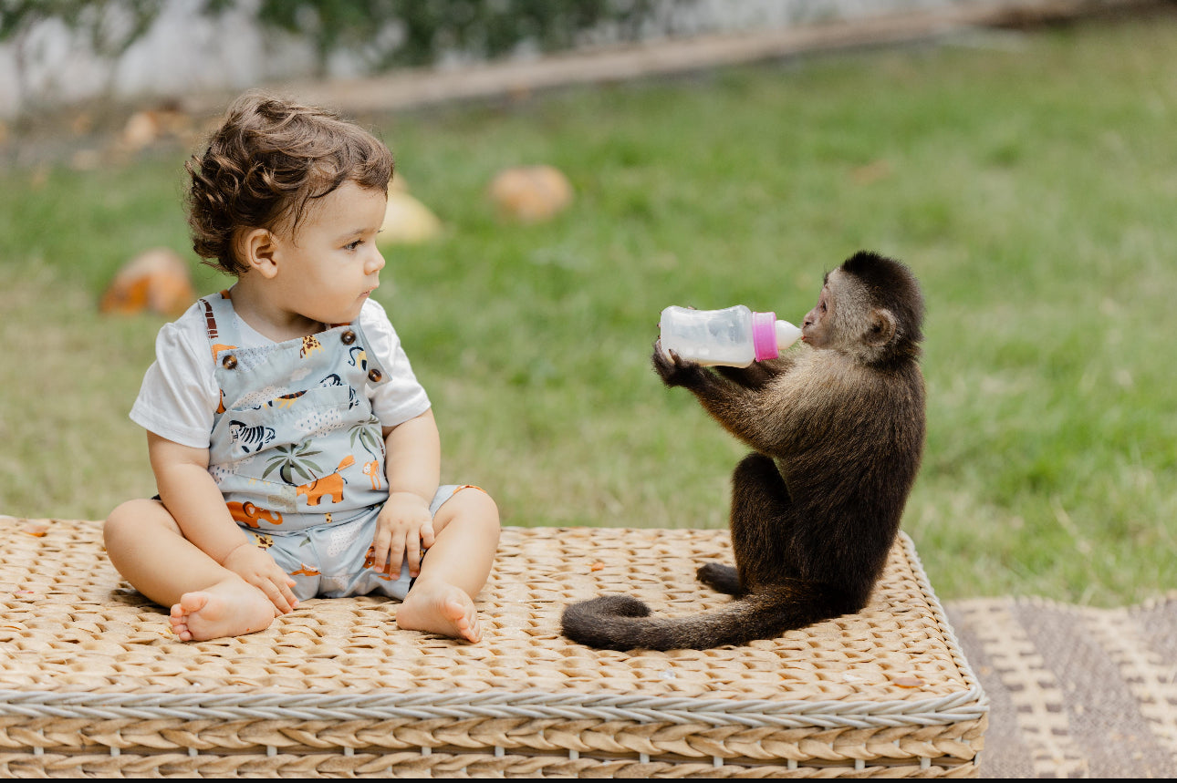 Monkey House