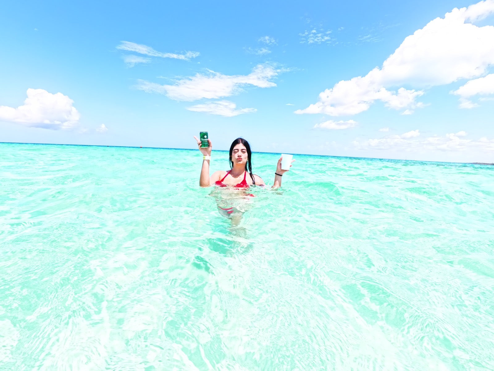 NEDO EXCLUSIVE SAONA ISLAND