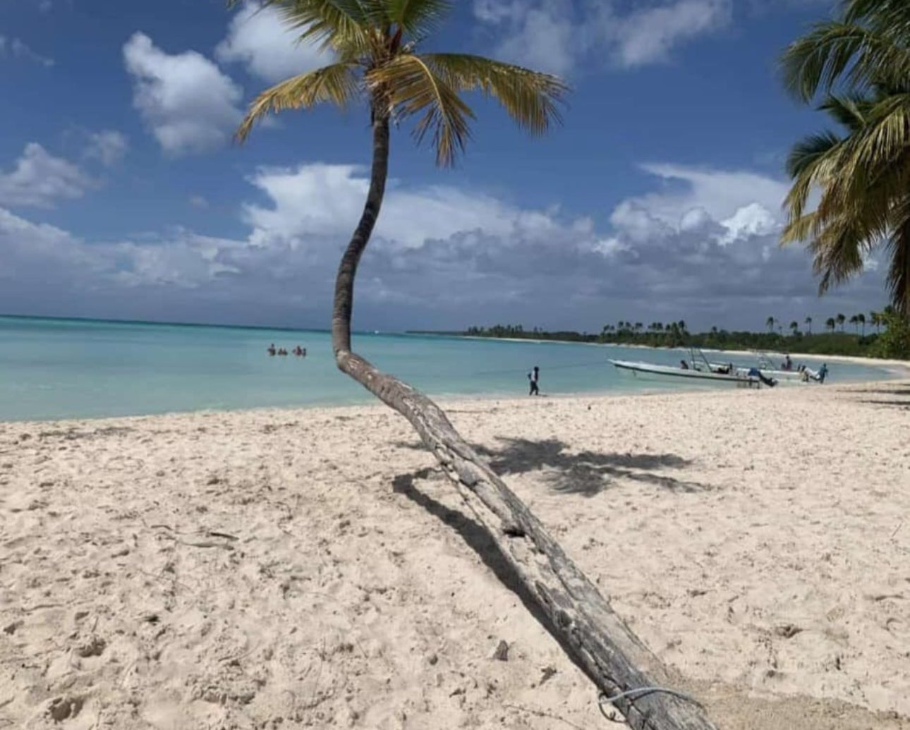 Tour Isla Saona