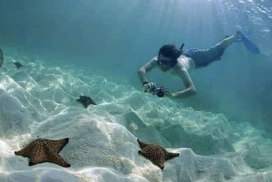 Tour Isla Saona