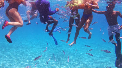 TOUR ISLA CATALINA