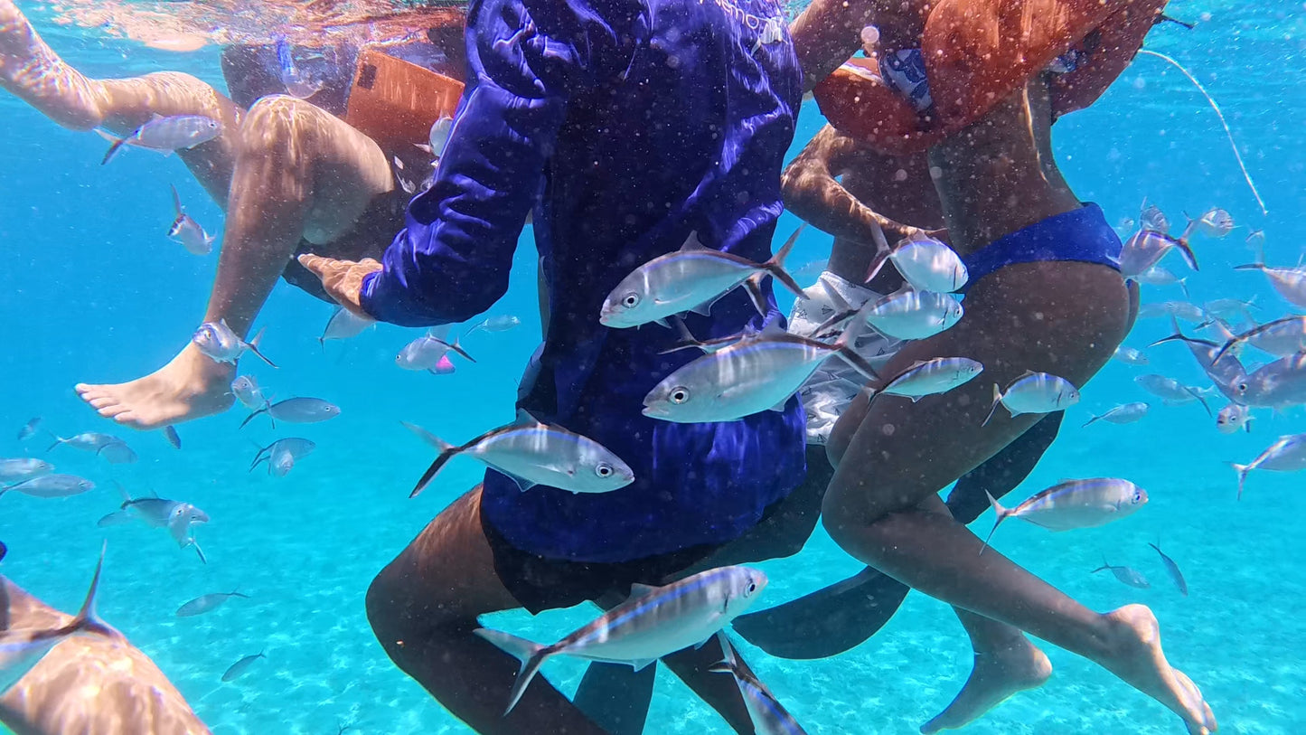 TOUR ISLA CATALINA