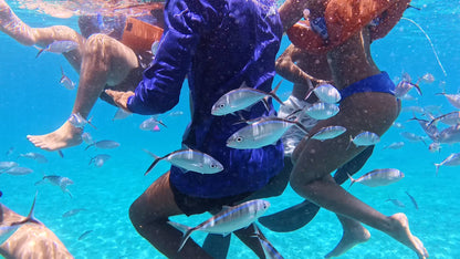 TOUR ISLA CATALINA