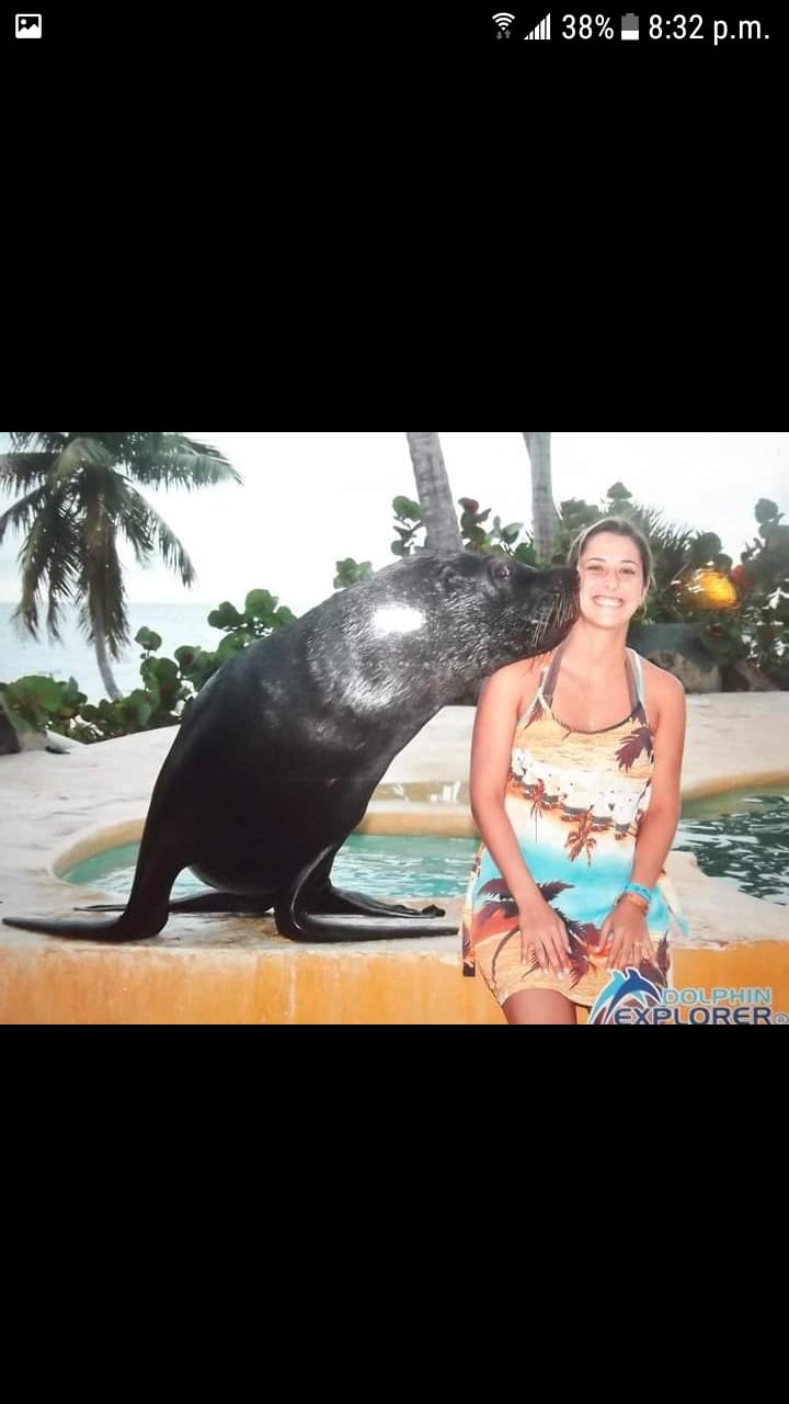 DOLPHINS