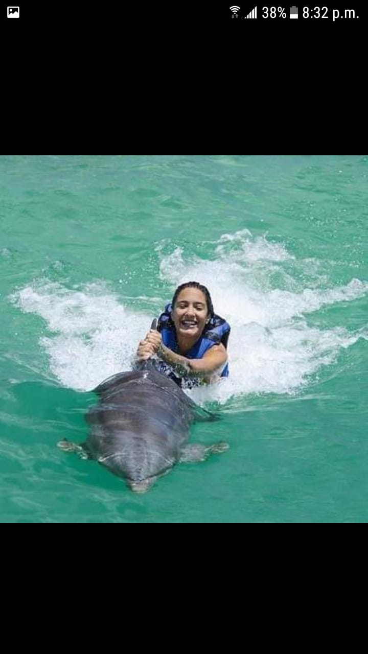 DOLPHINS