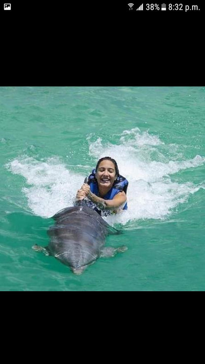 DOLPHINS